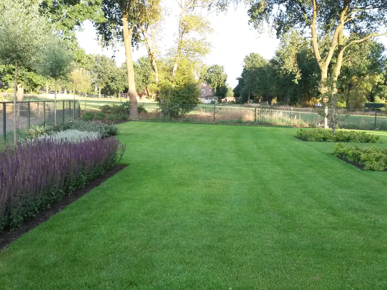 Bloemenborder met knotwilgen