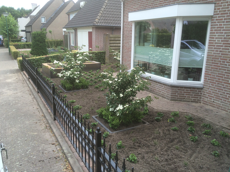 Aanleg voortuin beplanting