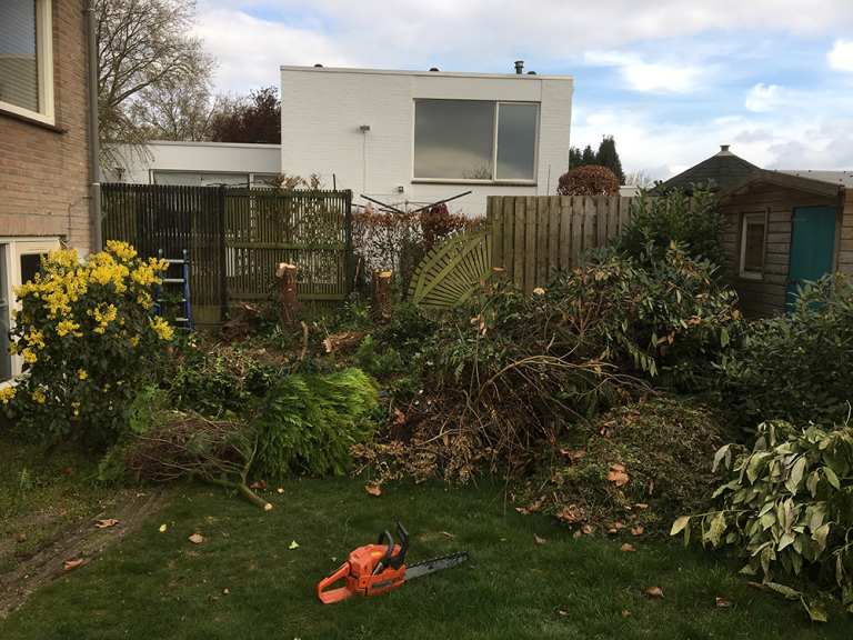 Snoeien tuinrenovatie aanleg terras bestrating