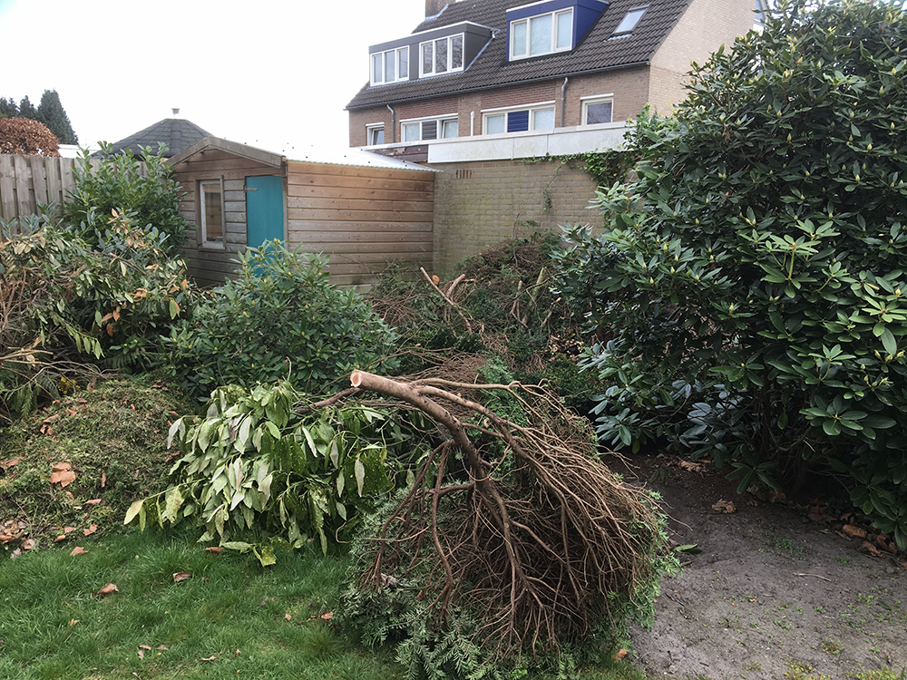 Snoeien tuinrenovatie aanleg terras bestrating