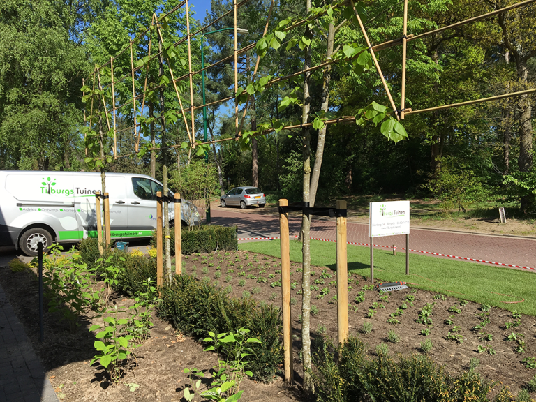 Tuinontwerp Tuinaanleg besproeien systeem