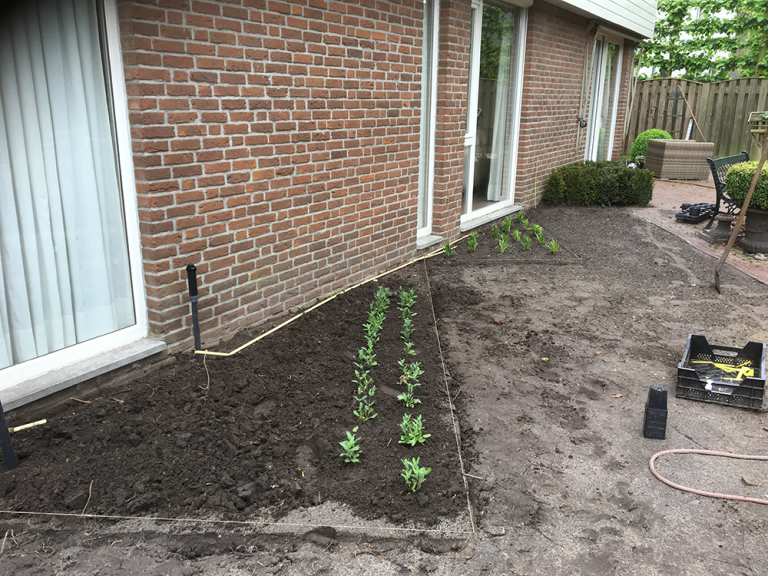 Tuinrenovatie beplanting tuinadvies-5